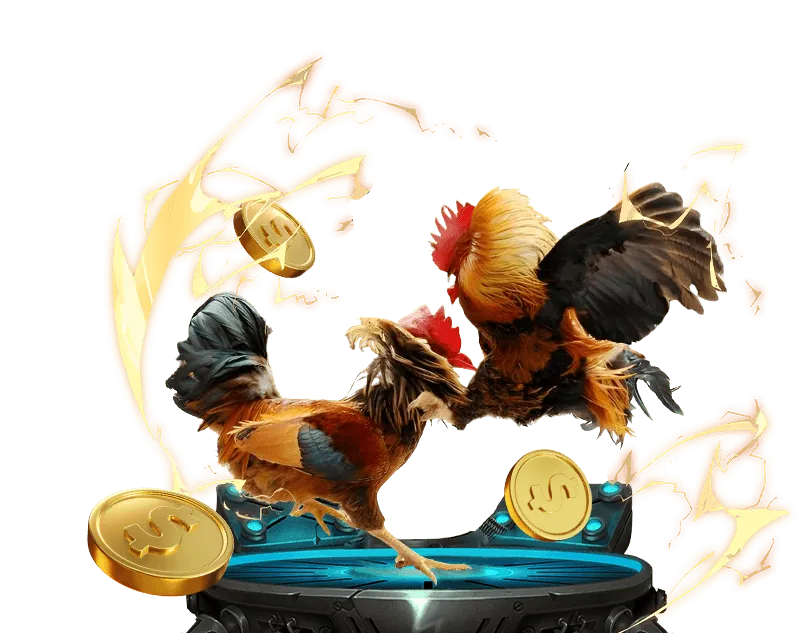 Hướng dẫn cá cược thể thao tại hit 88